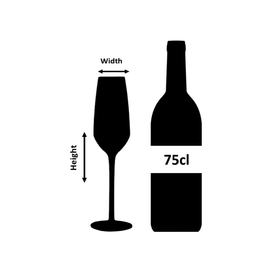 Iris Shatterproof Plastic Champagne Flute 24cl - Image 3